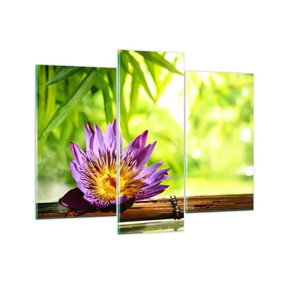 Produktbild von Bilder auf glas - Asien spa bambus blume - 130x100cm - Glasbilder - Wandbilder - Kunstdruck - zum Aufhängen bereit - Wanddekoration aus Glas - Glas Bilder - Wandbild auf Glas - GCB130x100-2476
