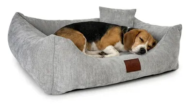 Produktbild von Hundebett mit abnehmbarer Bezug und komfortabler Polsterung