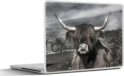 Produktbild von MuchoWow® Laptop Aufkleber Sticker Cover Schottisches Hochlandrind - Porträt - Schwarz - Weiß - Tier - Wildnis - Natur 32.5x23.5 cm - Sticker für Laptop - Selbstklebend