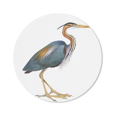 Produktbild von MuchoWow® Mauspad Mousepad Vogel - Federn - Aquarell 50x50 cm - Mousepads - Maus Mat - Pad - Mausunterlage - Vinyl