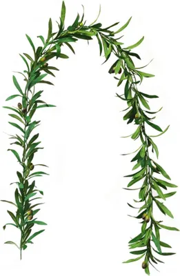 Image de Guirlande artificielle de branches d'olivier, verdure artificielle, vrilles pour décor de mariage, décoration d'intérieur, pour l'intérieur et l'extérieur, décoration murale, décoration de fête
