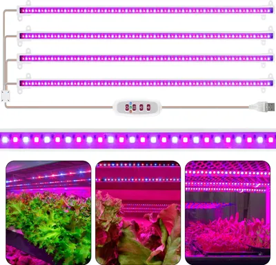 A collage of images showing LED grow lights and plants under the lights.