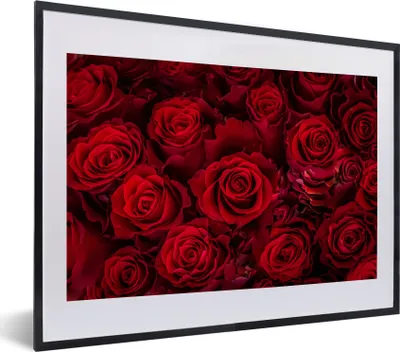 Produktbild von MuchoWow® MuchoWow® Gerahmtes Poster Blumen - Rosen - Rot 40x30 cm - Poster mit zchwarzem Bilderrahmen - Bilderrahmen - Poster im Rahmen