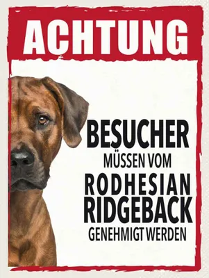 Produktbild von vianmo Holzschild 40x30 cm Tiere Achtung Rodhesian Ridgeback Tier Haustier