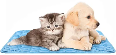 Produktbild von Kühlmatte für Hunde, atmungsaktive, selbstkühlende Kühlmatte für Hunde, kein Wasser oder Kühlschrank erforderlich, kratzfeste, rutschfeste Kühlmatte für kleine bis mittelgroße Hunde oder Katzen