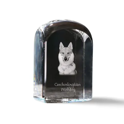 Produktbild von Art-Dog Briefbeschwerer Tschechoslowakischer Wolfhund