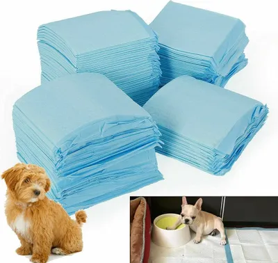 Zdjęcie produktu dla Podkładka treningowa dla szczeniąt 100 sztuk Podkładka higieniczna dla szczeniąt Toaleta dla szczeniąt 33x45cm