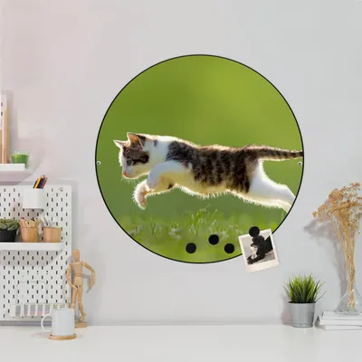 Produktbild von Design Stahlmagnettafel Schwarz Rund 47cm Jagende Katze