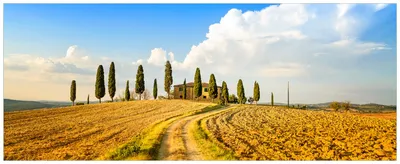 Produktbild von Wallario Wandbild aus Acryl, 200 x 80 cm, freischwebende Optik - Italien - Toskana unter blauem Himmel  einsame Farm
