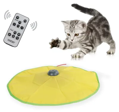 Interaktives Katzen-Spielzeug mit Fernbedienung, Timer, wiederaufladbar