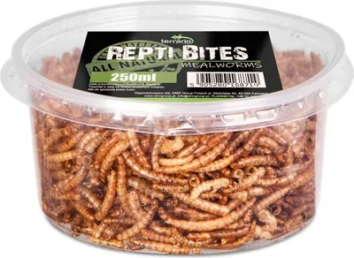 A clear, well-lit studio shot of a plastic container filled with dried mealworms, with a product label visible.