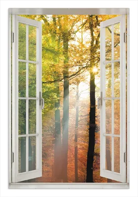 Produktbild von Wallario Wandbild mit Fenster-Illusion: Sonnenuntergang im Herbstwald, Größe: 61 x 91,5 cm, Poster mit rahmenlosen Bildhalter