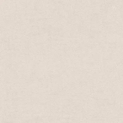Image de Papier peint intissé uni beige Rasch Home Style 489828