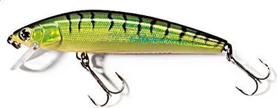 Image de Abu Garcia Tormentor Floating 70mm 9g H-Tiger