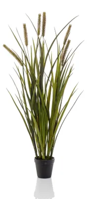 Produktbild von Emerald Künstliche Cattailsgras 85 cm Topf