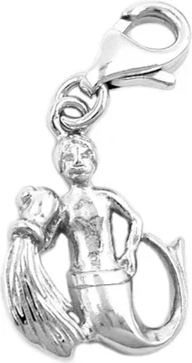 Produktbild von Anhänger Einhänger Charm Sternzeichen Wassermann 925 Silber Damen