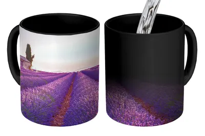 Obrázok produktu pre MuchoWow® Magický pohár Levanduľa - Západ slnka - Fialová - Kvety 350 ml Pohár na zmenu farby Darček Nápad na darček - Foto hrnček