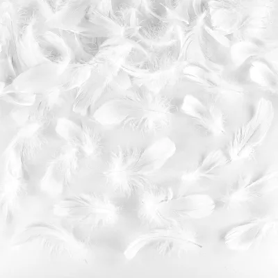 Bastelfedern, 220 Stück, weiß, flauschig, Naturfedern, 11,4 cm, für DIY-Deko