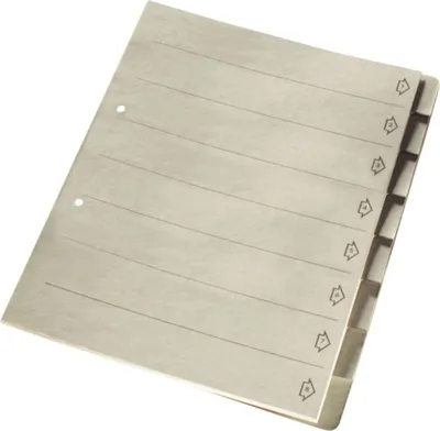 Produktbild von Register 8-teilig grau