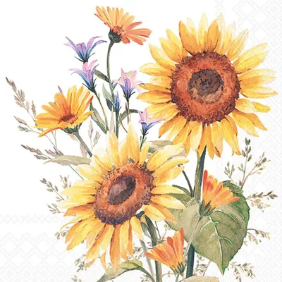 Produktbild von Servietten 33x33 cm - Sunflowers