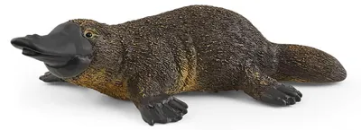 Image de Schleich 14840 Schleich Wild Life 14840 Ornithorynque