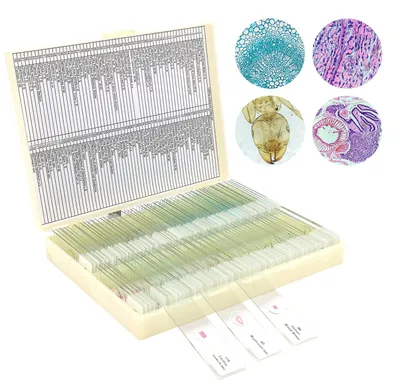 120 Mikroskop-Objektträger mit Präparaten, Biologie-Set