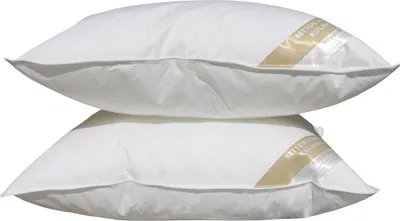 Produktbild von 2 Stück Betten Hofmann Basic Allergiker Kopfkissen Japan 43x63 cm waschbar 300 g