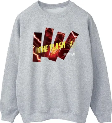 Produktbild von DC Comics - Sweatshirt für Herren BI47258 (S) (Grau)