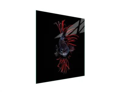 Image de Planche à découper en verre 45x52 Poisson