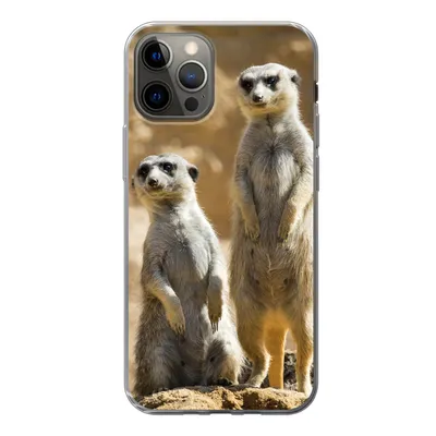 Produktbild von MuchoWow® Handyhülle Schutzhülle Hülle für iPhone 12 Pro Felsen - Erdmännchen - Tiere Silikon Softcase Handy Hülle - Abdeckung