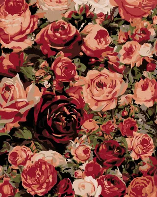 Image de Zuty - Peinture au diamant - ROSES, 40 x 50 cm, toile tendue sur châssis