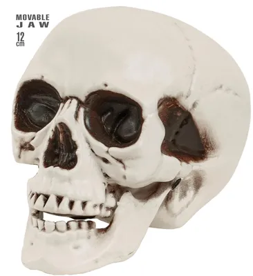 Produktbild von Totenkopf Schädel mit beweglichem Kiefer – 12 cm