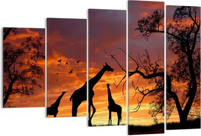 Produktbild von Bild auf Leinwand - Leinwandbild - Giraffe Afrika Sonne Safari - 150x100cm - Wand Bild - Wanddeko - Leinwanddruck - Bilder - Kunstdruck - Wanddekoration - Leinwand bilder - Wandkunst - EG150x100-0507