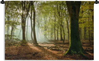 Produktbild von MuchoWow® Wandteppich Wandbehang Wald - Sonne - Jahreszeiten - Landschaft 120x80 cm Tapisserie Dekoration Wandtuch - Wanddekorationen - Wandtücher