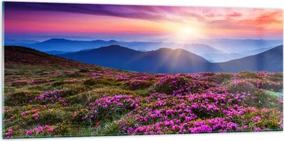 Produktbild von Bilder auf glas - Wiese Berg Himmel Landschaft - 120x50cm - Glasbilder - Wandbilder - Kunstdruck - zum Aufhängen bereit - Wanddekoration aus Glas - Glas Bilder - Wandbild auf Glas - GAB120x50-2719