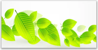 Produktbild von Tulup Leinwand-Bilder 120x60 Wandbild Canvas Kunstdruck Blätter Pflanzen