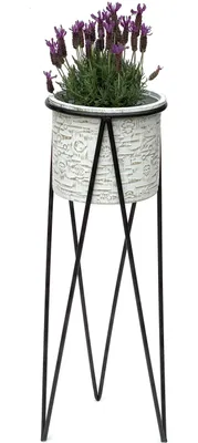 A potted lavender plant on a black metal stand against a white background.