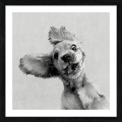 Produktbild von Gerahmtes Bild Funny Dog I 33x33 cm