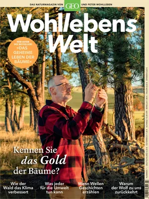 Produktbild von Wohllebens Welt 3/2020