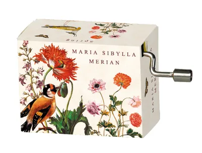Image de Flasneta Maria Sibylla Merian, Fridolin