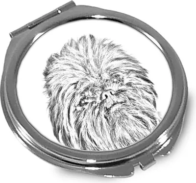 Productafbeelding van Aap pincher spiegel met foto van hond Art-Dog