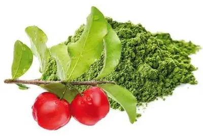 Produktbild von Sanatur ZinkSpirulina & Acerola 90 Kapseln