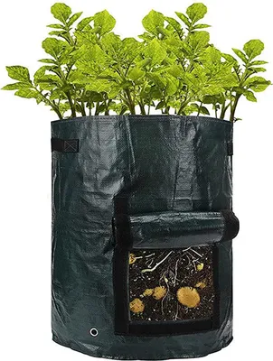 Zdjęcie produktu dla Torba do sadzenia PE Przyjazna dla środowiska Oddychająca torba do uprawy roślin Torba do sadzenia w ogrodzie Narzędzie ogrodnicze Czarny 3 galony 25x22cm
