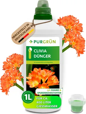 Produktbild von Purgrün Clivia-Dünger 1 Liter,