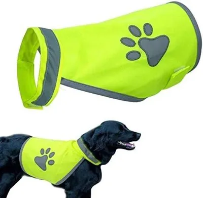 Produktbild von Reflektierend Hunde-Halsband - Auffallend Gelb - Größe L