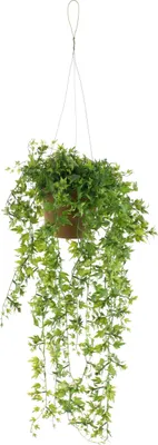 Produktbild von artplants.de Künstliche Blumenampel Johanna, Efeu, grün, 50cm - Deko Kletterpflanze - Kunst Hängepflanze
