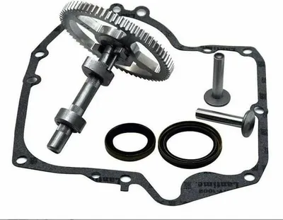 Obrázek produktu pro Vhodné pro Briggs & Stratton 793880, 793583, 792681, 791942, 795102 Sada pro výměnu vačkového hřídele s olejovým těsněním 795387 a těsněním