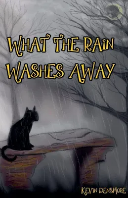 Produktbild von Was der Regen wegträgt