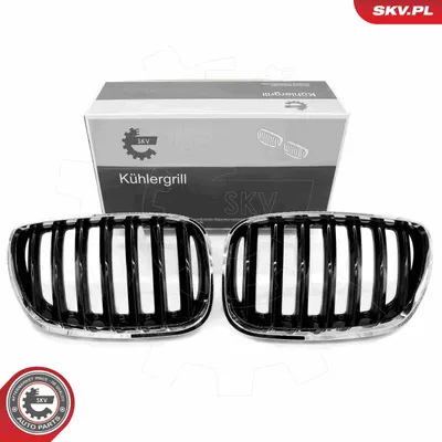 Obrázek produktu pro ESEN SKV 66SKV280 Mřížka chladiče pro BMW X5 (E53) chrom/černá