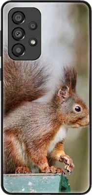Produktbild von König Design Hülle kompatibel mit Samsung Galaxy A33 5G Kunststoff Soft Handyhülle - Handy Case Eichhörnchen
